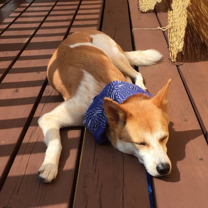 F655f0f1 16f3 4285 a582 ace60f4503f3