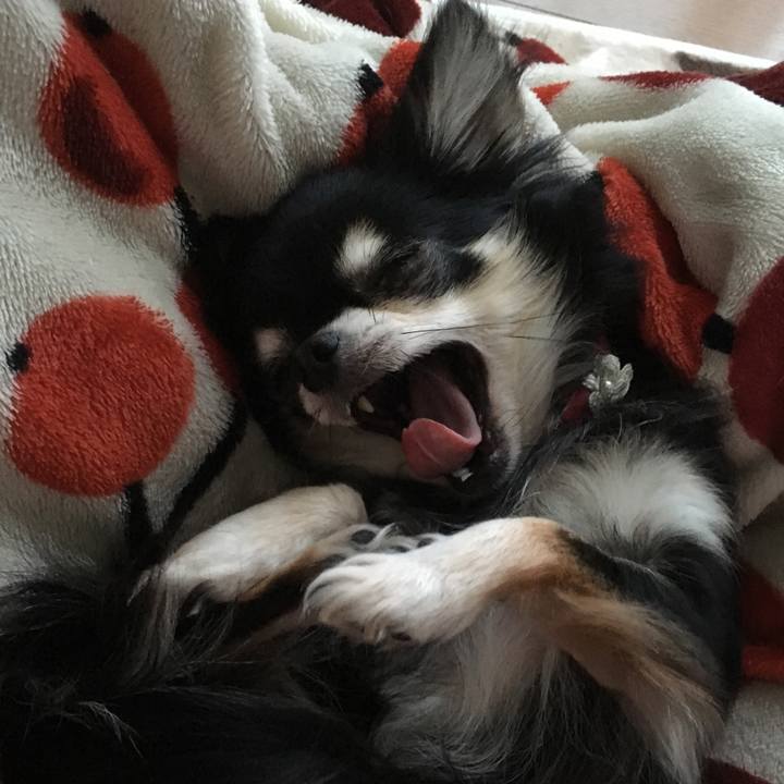 F655f913 5c2e 446e 9f27 d462fc6c88b3