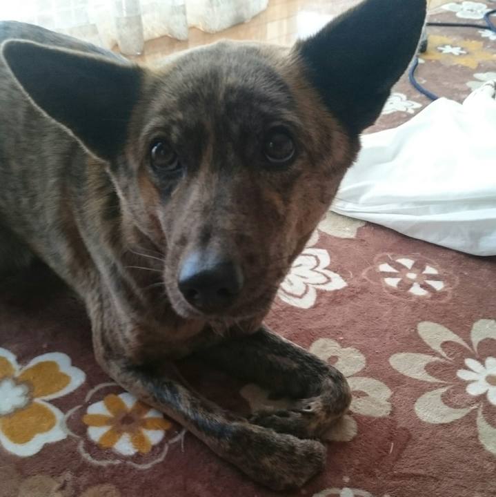 F6560ef0 edd4 4249 96c4 62bc27632306