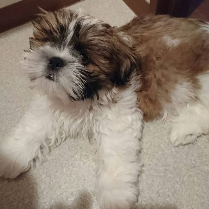 F6564515 76c5 45fc ba54 1304e9ad1c58