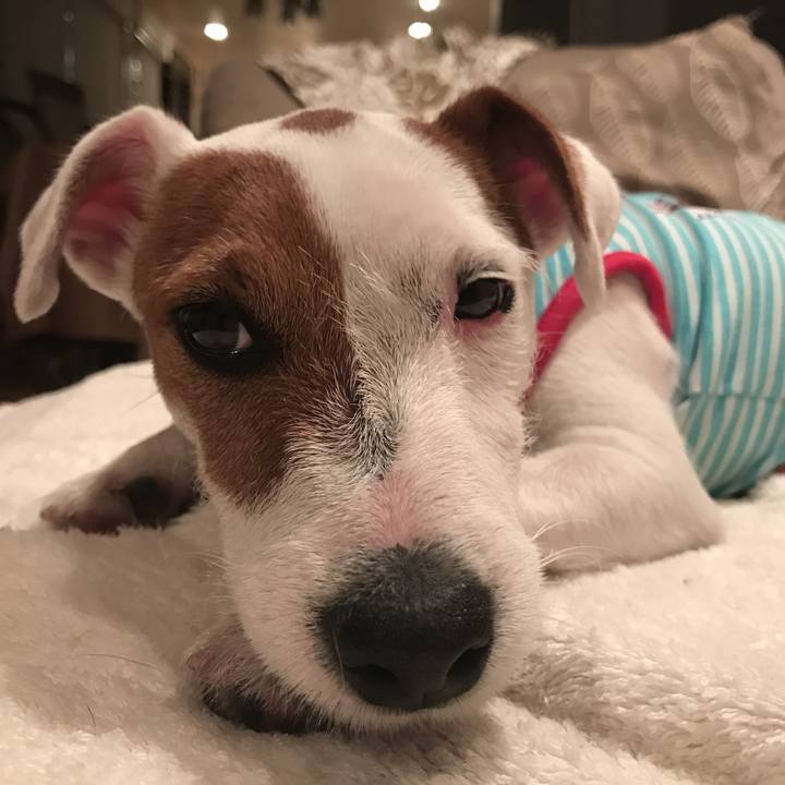 F6566d81 5db0 431c 91f8 81341612ef5c