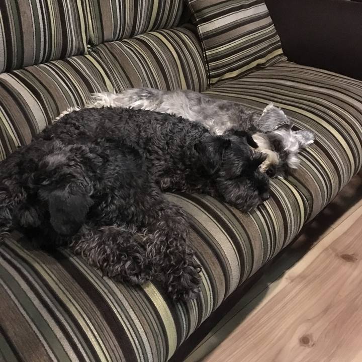 F656a11e 7776 449d b5db 47c11ce599eb