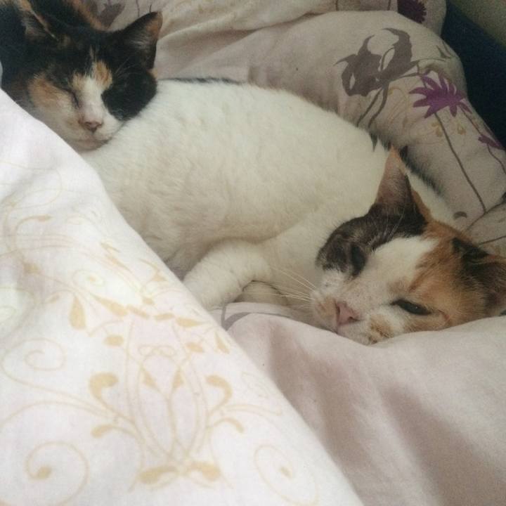 F656fe88 4282 4e0b 8dc2 563d16fb6ba3