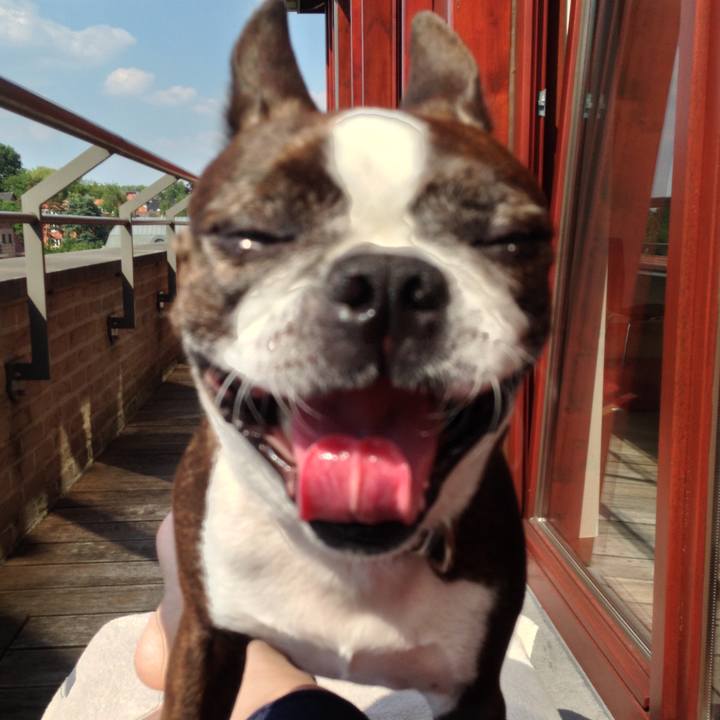 F65831e7 cbf0 4498 aa10 0e8331ae5b54