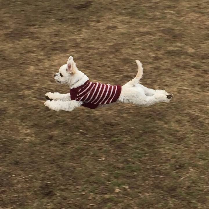 F6583cd0 ae3d 4f2c 84f8 70e915ead360