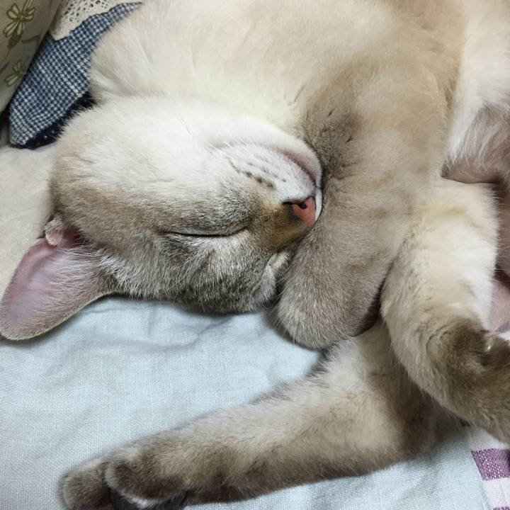 F658f066 e911 4970 9110 12e72bac11c8