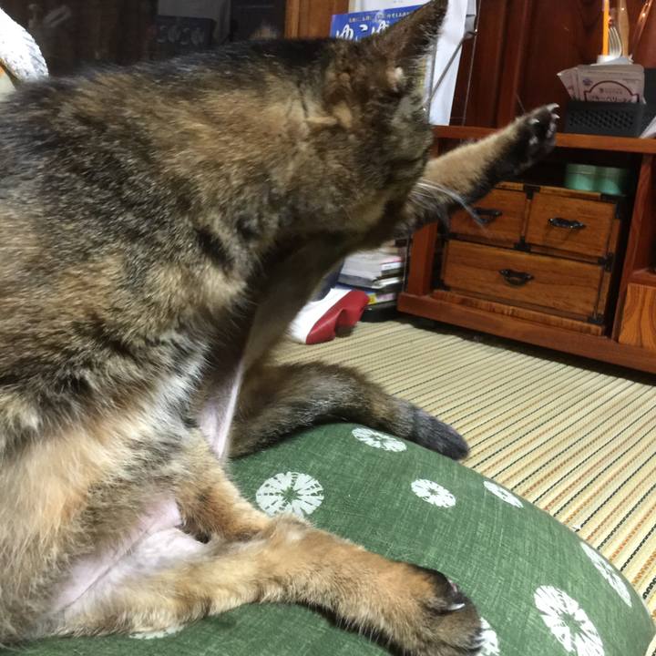 F659598d af33 4491 ae13 c446cda0928a