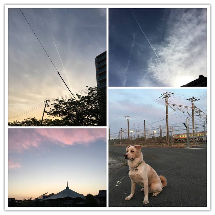 F65a671a 7874 4bac 870a 98ae25ffc0c5