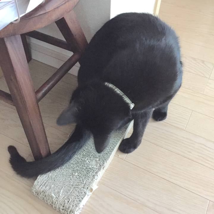 F65a6761 8215 46f7 9f15 6de0a3f4ee67