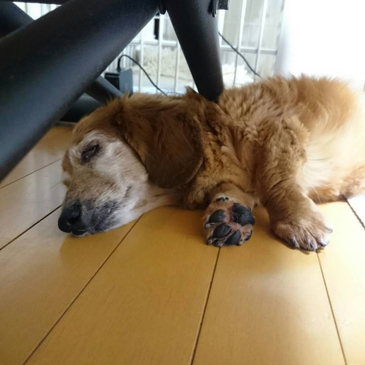 F65a79a6 9a11 485c b8a1 92b62086f8f3