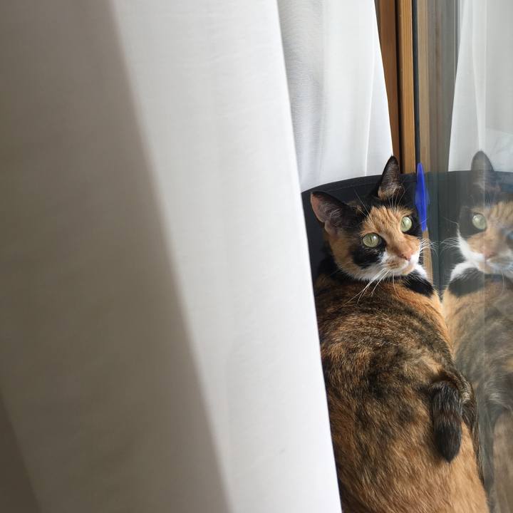 F65a9695 8273 4401 abbe 8c72a512ee28