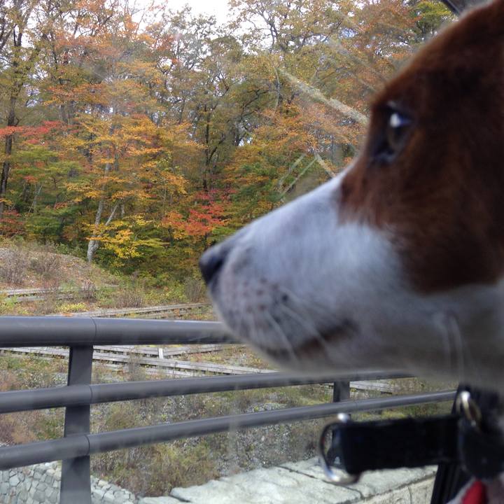 F65aabfb 409d 44eb 9ab2 baf78aabc582