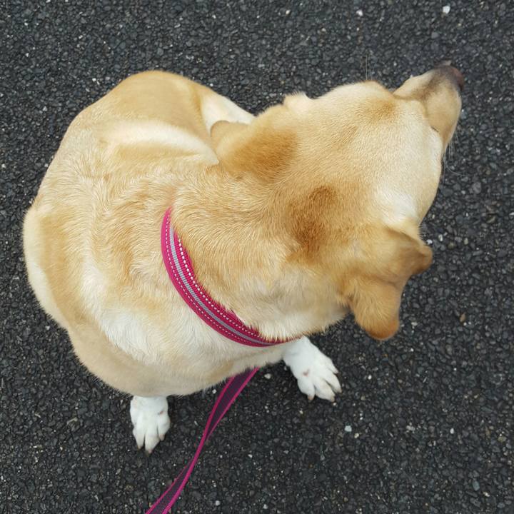 F65ba658 46f3 46c4 a4a3 b033d1a178e6