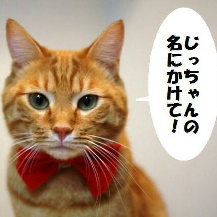 F65ced8b 1fca 4e78 8dfe 2f9794ee8778