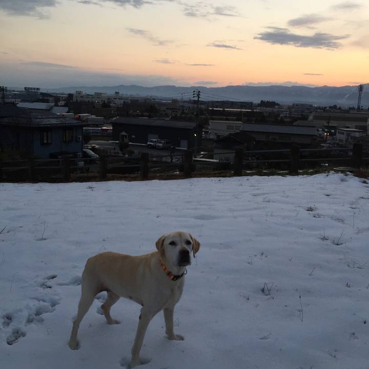 F65d126f 7541 4825 ae4c 6f06fdd75ec7