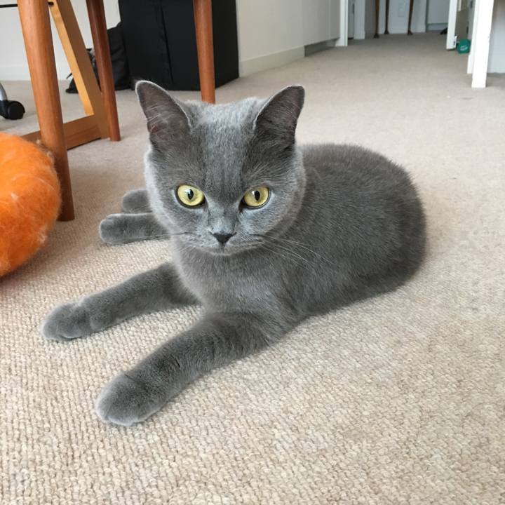 F65d70d0 7c2d 476b 942e 39e83bb41f4c