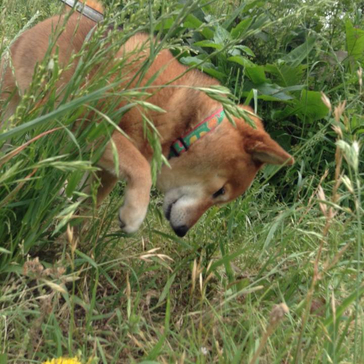 F65fa88c d4ba 4d4e 9618 8181d736135d