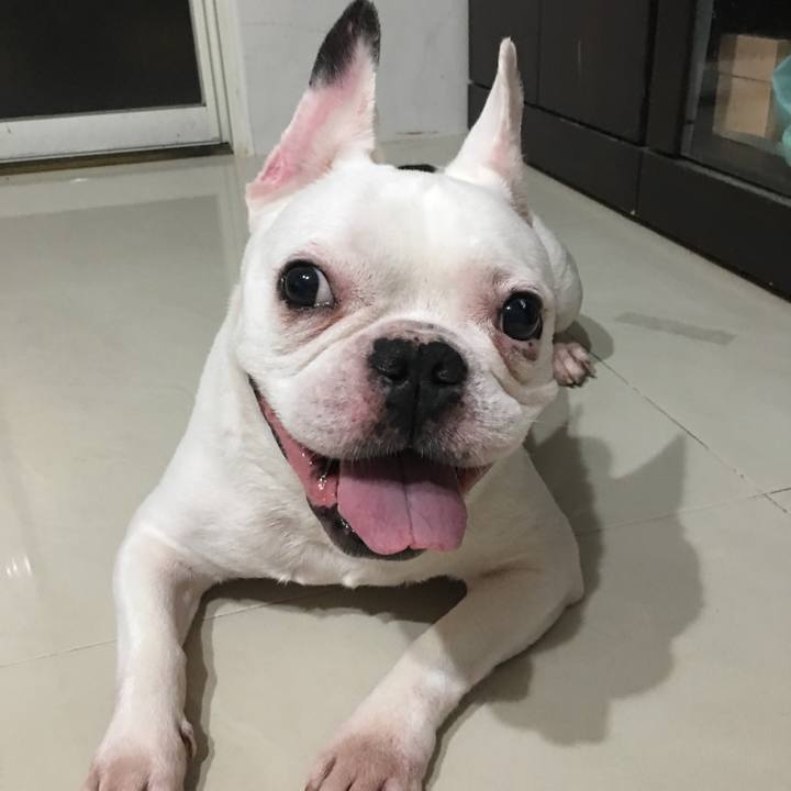 F65fd4b8 3406 423c bfbd 4e9996204184