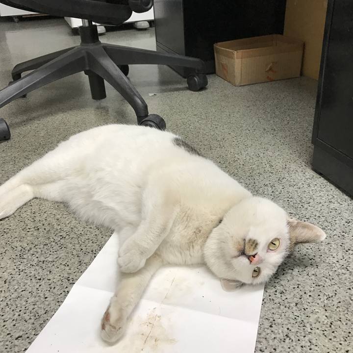 F66038fa b41a 4580 a9a2 0150e2837ba2