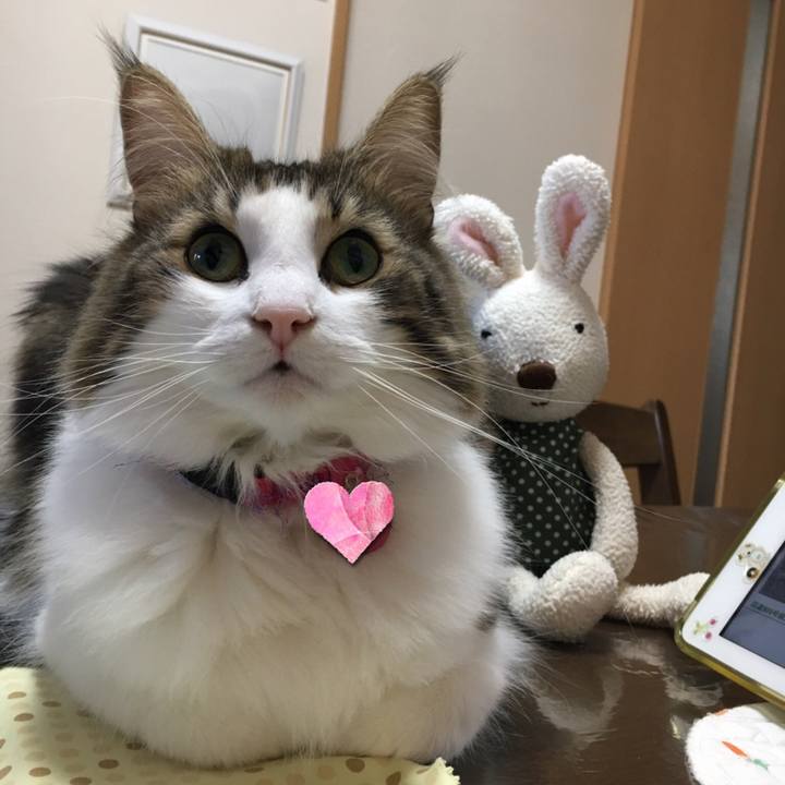 F660707e f691 4048 8208 4ff4b21206fc