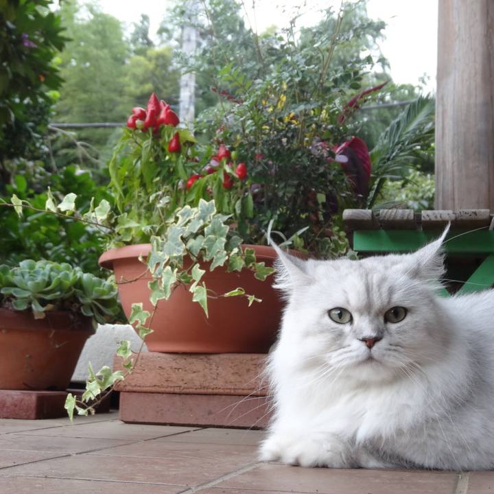 F660918a 7c7e 484b 82ca 24e5f8b94da6