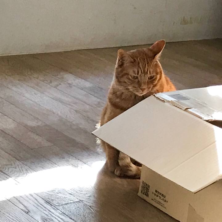 F661063c 867a 4ca4 a076 7172baaa481c