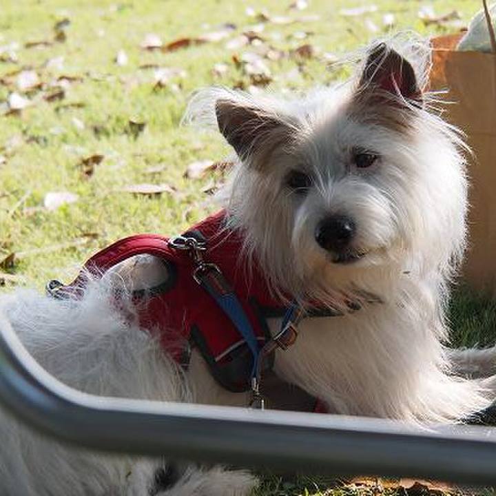 F6613932 feb8 44c0 96b3 80eea2d8a44c