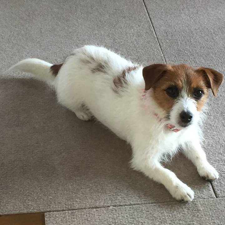 F661572e 9230 4e43 8bd4 c166f75c12ff