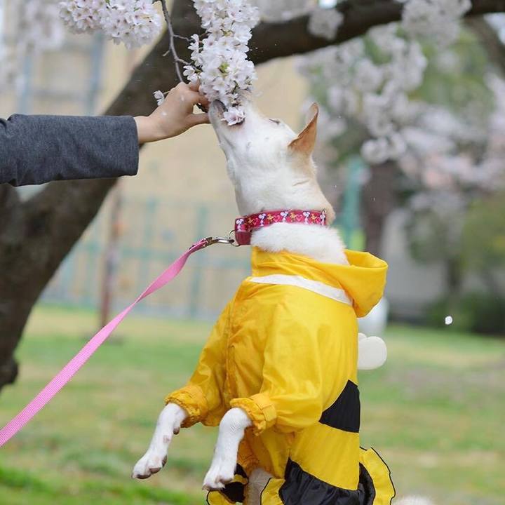 F662508d 31a0 4eac 9017 cdd5e161bb35