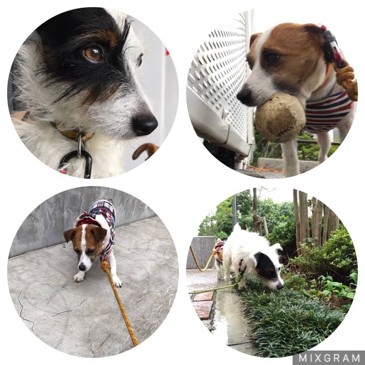 F662d2c9 24c8 4225 a0e1 98d8aeec5bb3