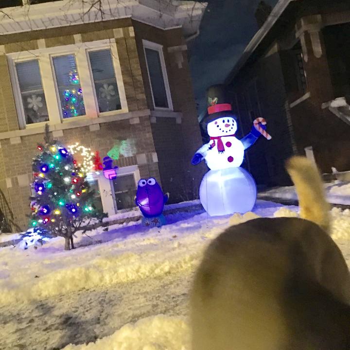 F663519b 6416 440e 971b adb6baf33bbc