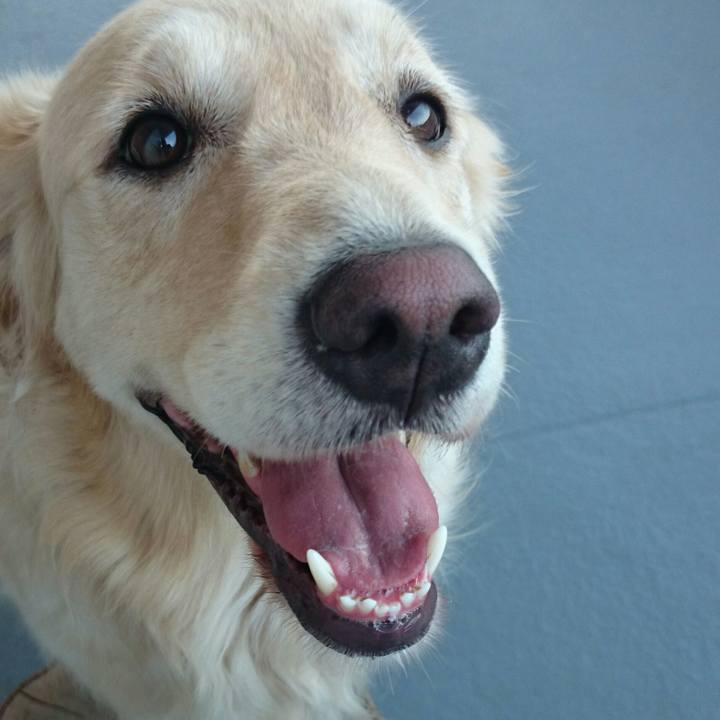 F6637f6e 56fb 4f6f b89b 171dcd27ab3d