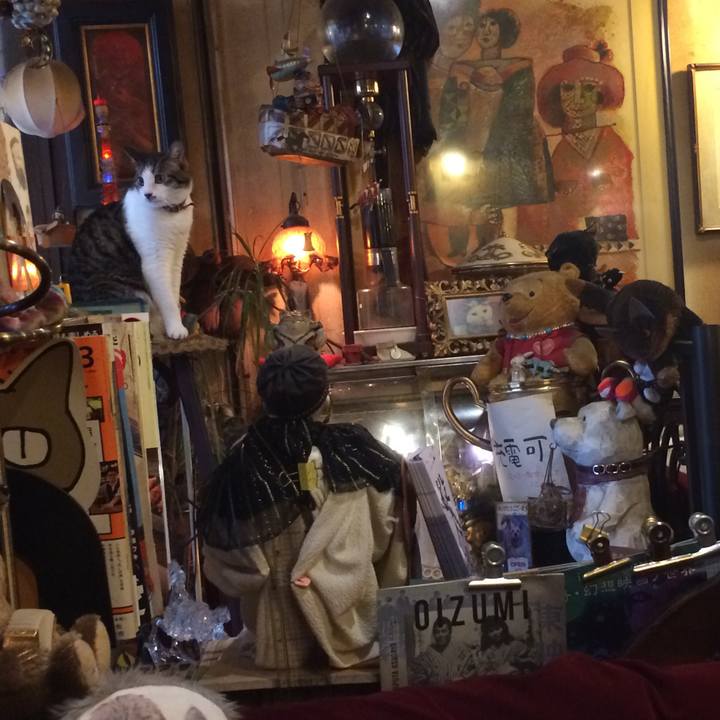 F663bd8c b75f 4e49 a5e2 b8723363238a