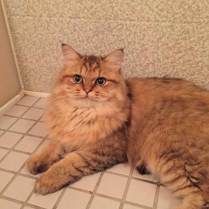 F663edba 295f 4534 9364 635e5fb2972e