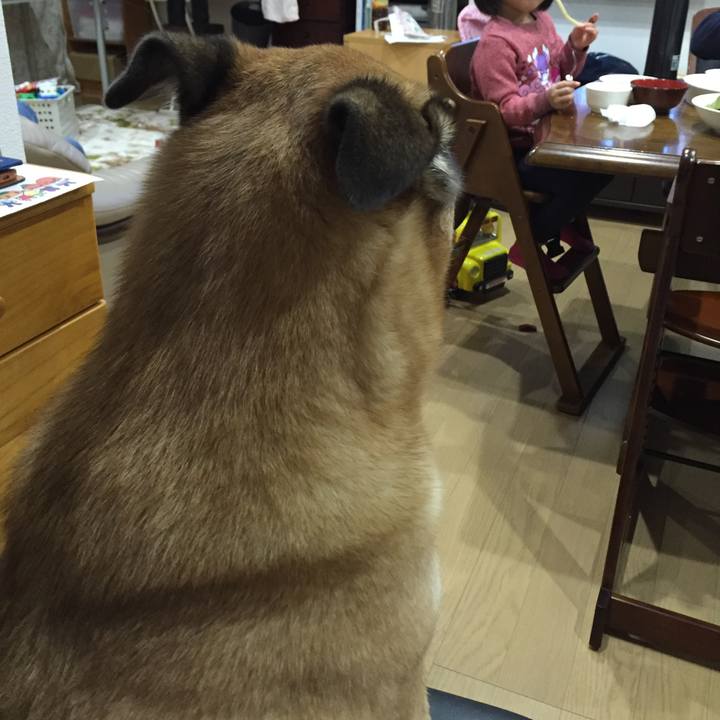 F6641bdf bc5b 462a 8d9a 9ba6aa1685c1