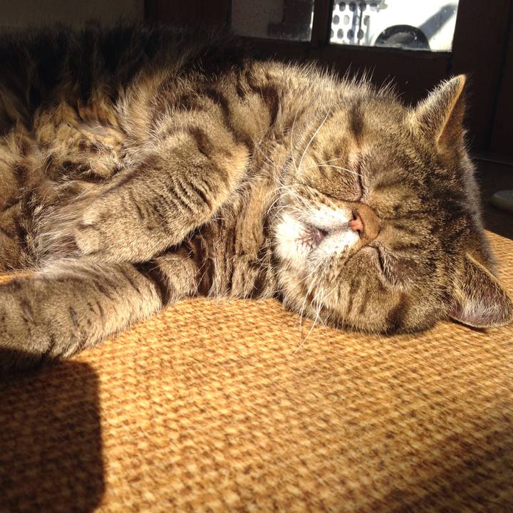 F66491a0 e5f2 4810 8e58 3776612d5e8f