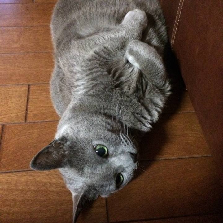 F664a5a1 b2b8 404f a6bd 22c86ca3ecd0