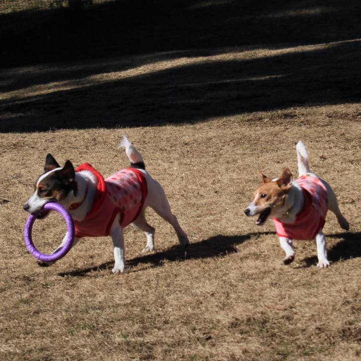 F664a5c2 9f1a 4b69 a271 26c69d1e51fc