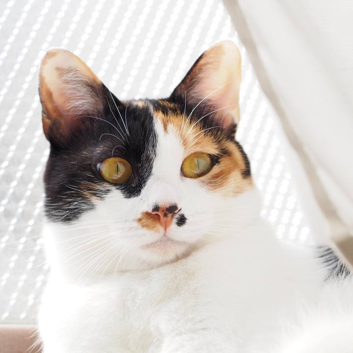 F664a91f 3efe 495f b968 a65c28878df2