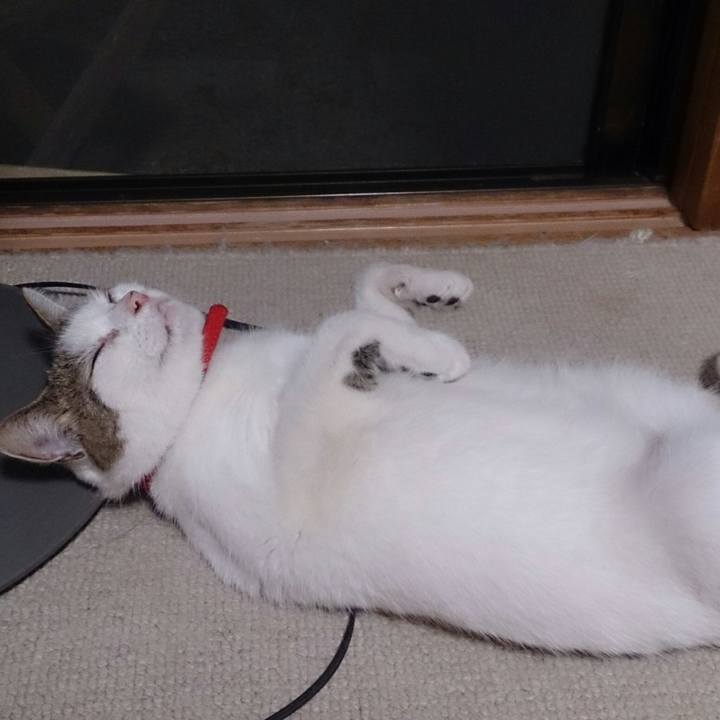 F6650e9a 10f2 40c6 8e3a b3f7f43a0882