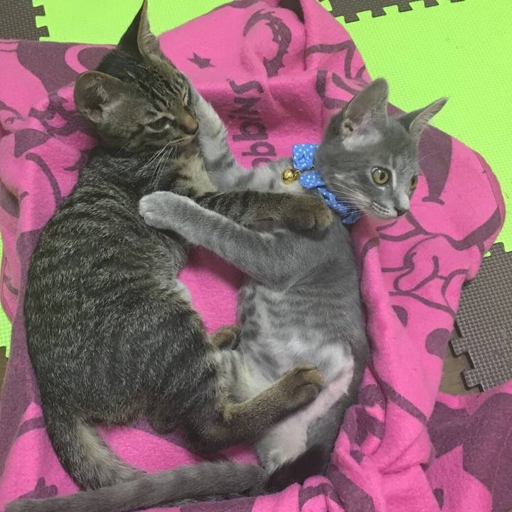 F6653dd9 12c1 4ee8 8b9c 98b456944a1f