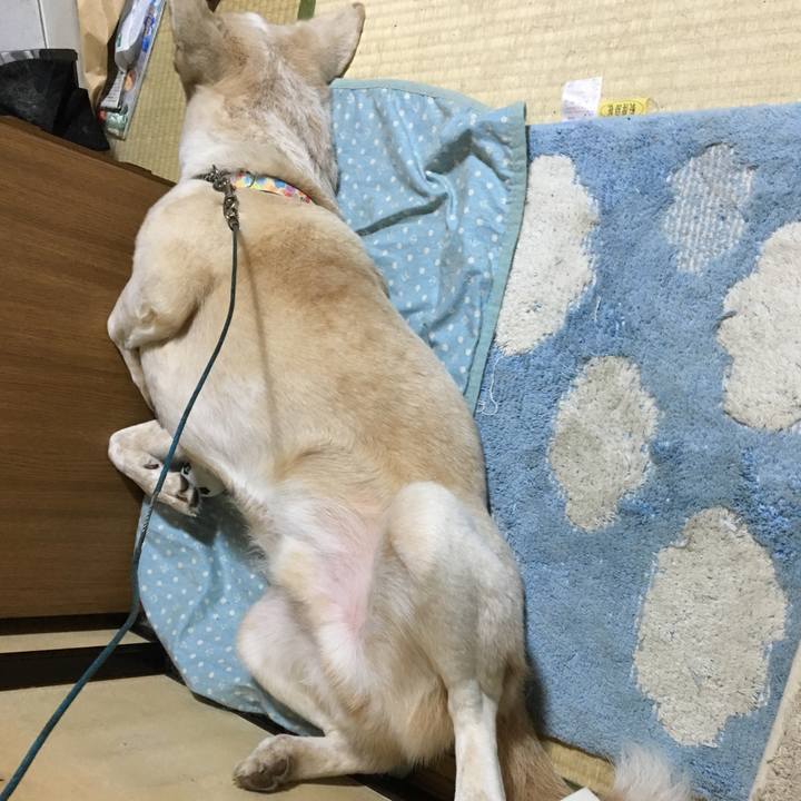 F665805d fc00 4667 91bb a893380c07d2