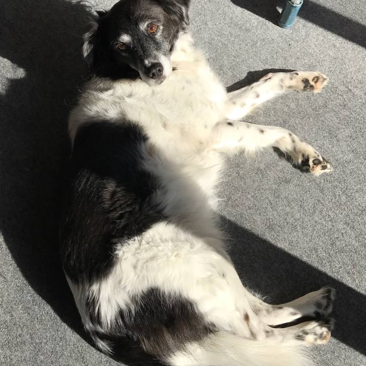 F666931d 31c1 49fc ba9c 663dc5950c79