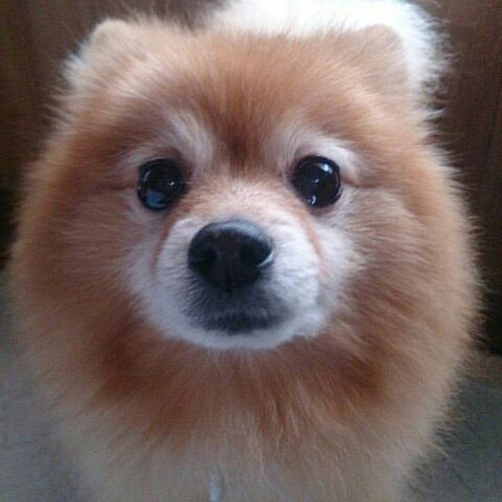 F6675d1f 6a97 4c5e ac6d dd962d6332e7