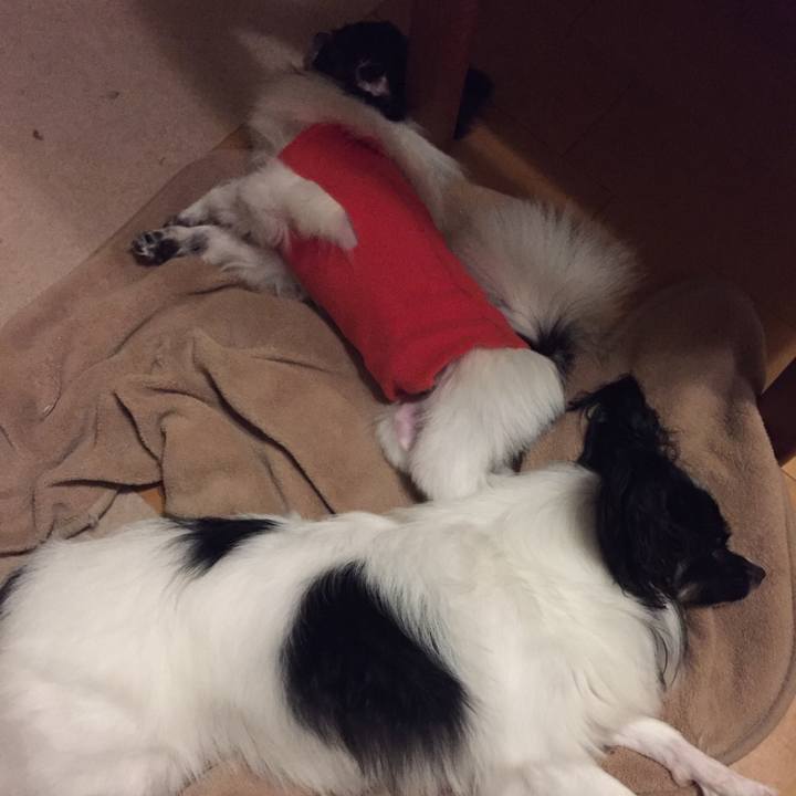 F667b206 e608 4277 8d37 84e0c20647cc