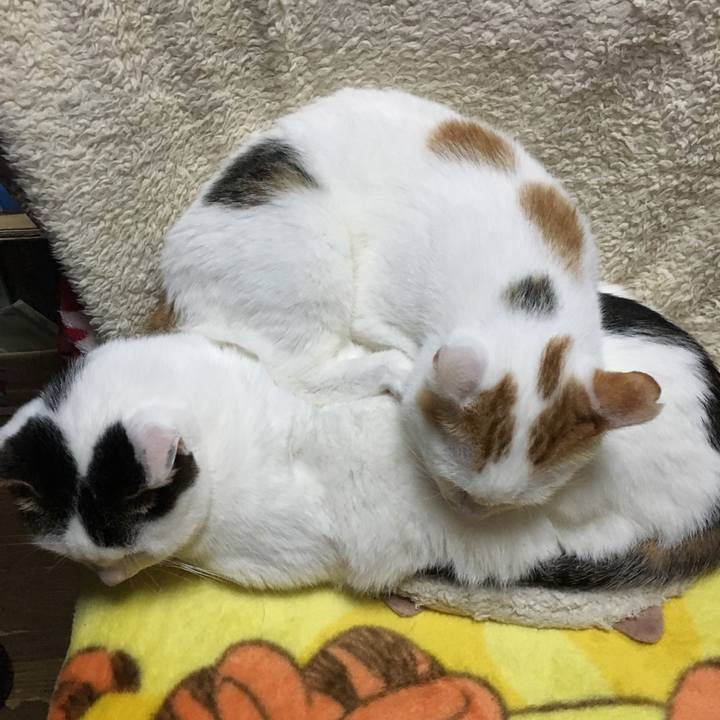 F667dde0 78b5 47cf 85ab edba27780c57