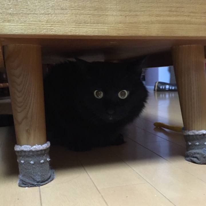 F6682861 2a76 4b84 9a1a f524f1be5824