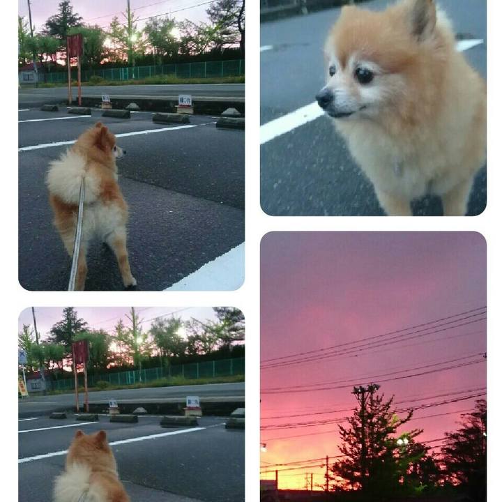 F66891f9 f4dd 436b 8da4 b2f68d39e300