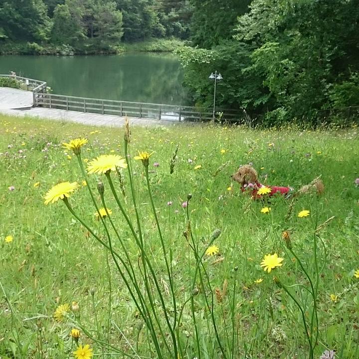 F6698091 1713 4a3d 8829 c6c7e231d141