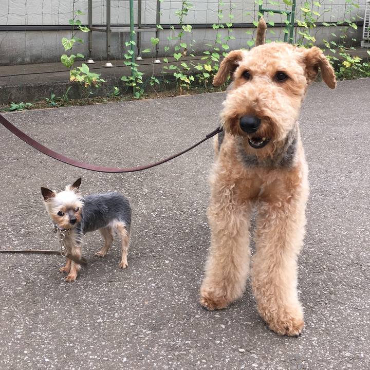 F66b10ba c5c3 4c51 909f 88d2de756916